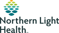 Northern Light Health logo